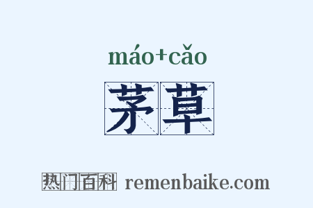 茅草是什么意思的图片